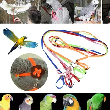Nastavitelný Pet Papoušek Trakce Popruh Anti-bite Školení Lano Venkovní Lano Křeček, Želva, Ještěrka Mascotas Pet Obojek Postroj Pet